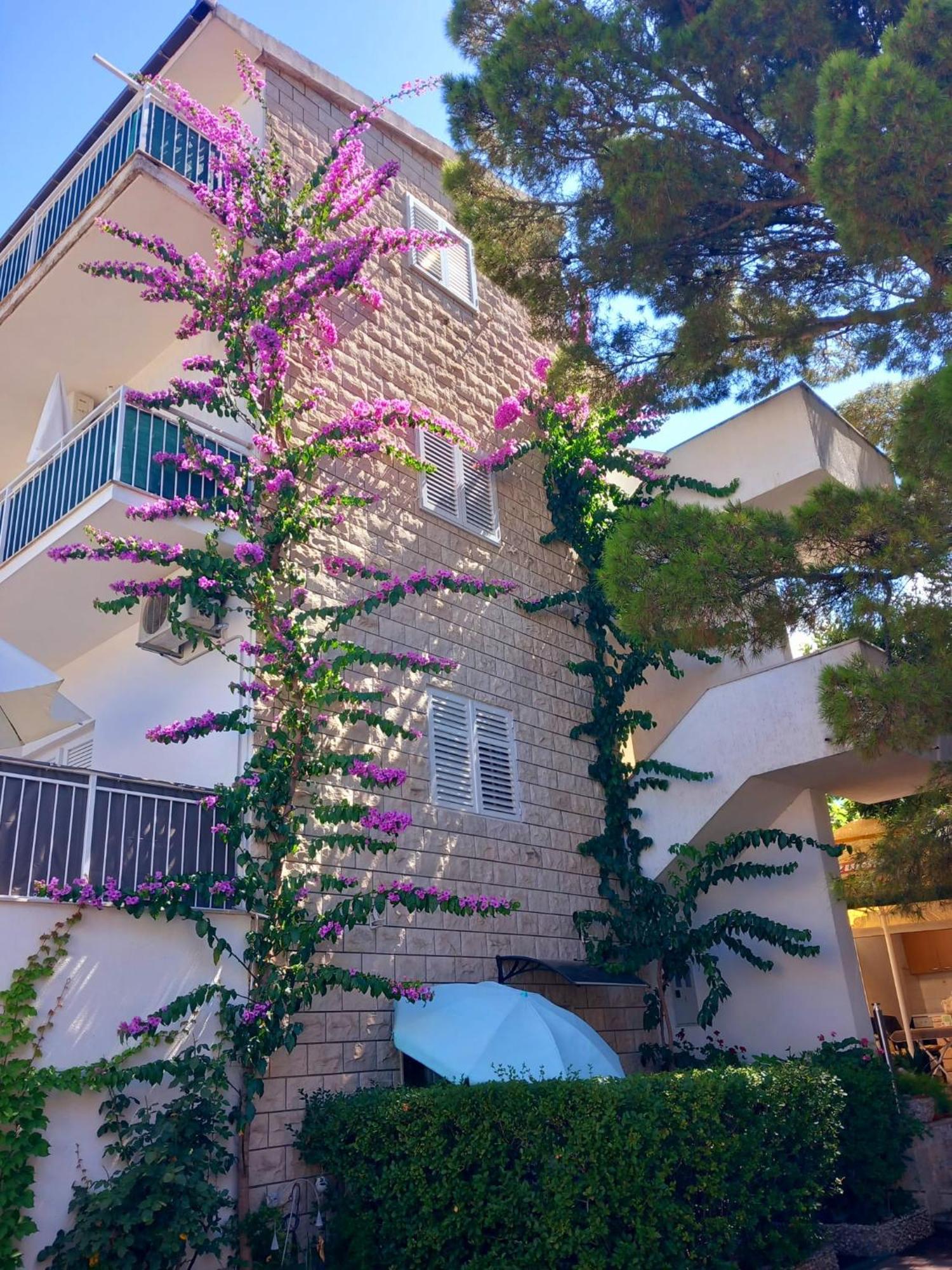 Apartmani Omrcen 바스카보다 외부 사진
